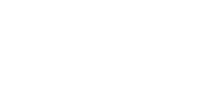 WVS Logo