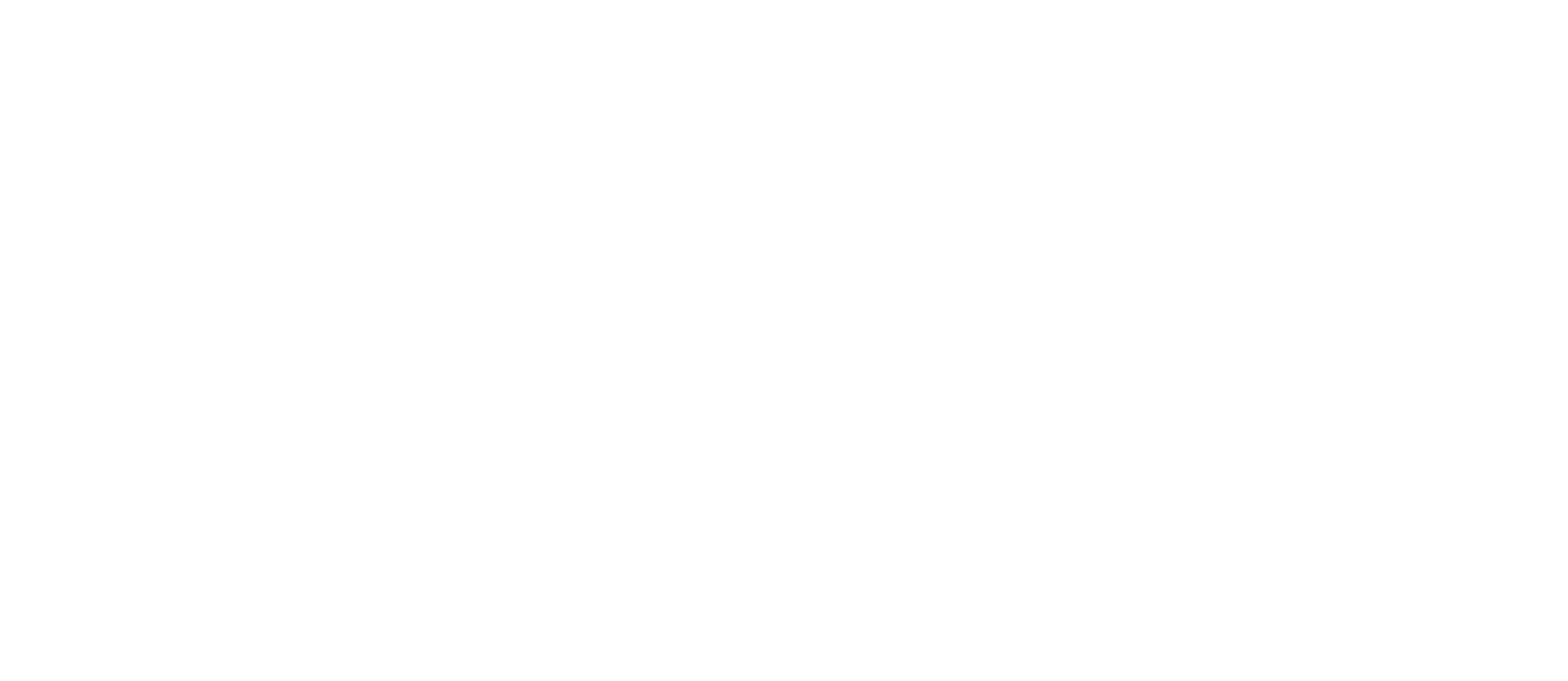 WVS Logo