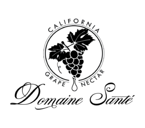 Domaine Santé logo