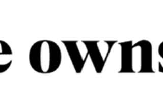 She Owns It logo