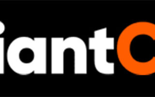 ValiantCEO logo